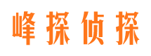 崇川市场调查